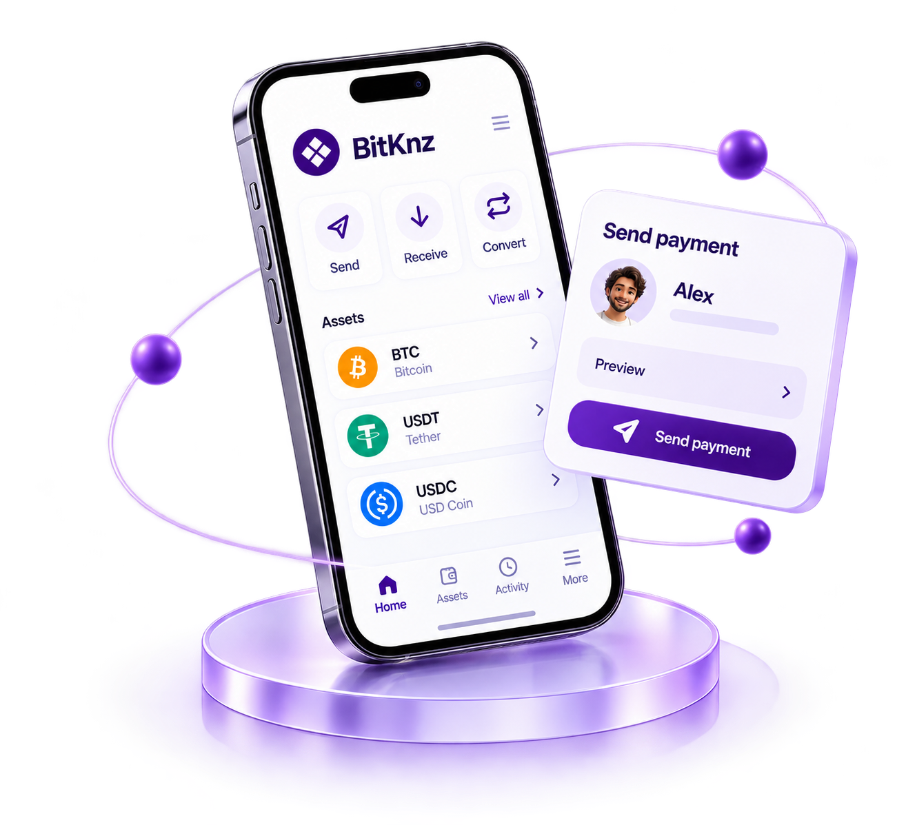 BitKnz wallet showing BTC, USDT and USDC with a payment preview
